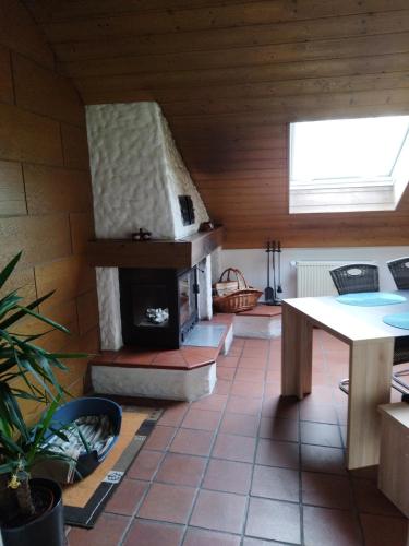 Aussergewöhnliche Atelierferienwohnung mit Balkon an der Donau