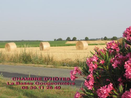 Chambre D'hôtes La Basse Gougeonnière - Champtocé-sur-Loire