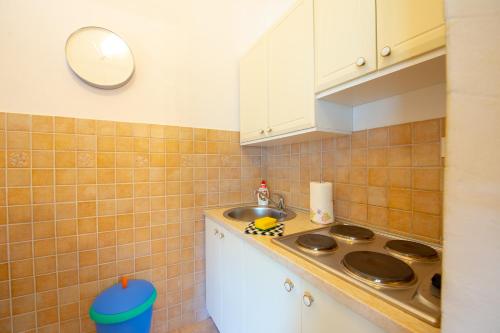 One-Bedroom Apartment image 3
