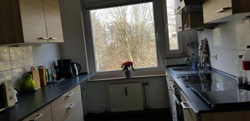 Sunny Place, Hannover (foto 5)