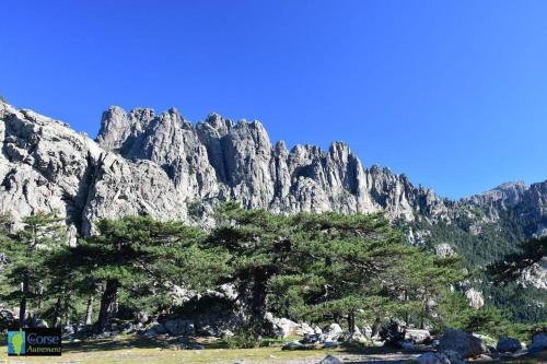 Villa Vista Mare 11 Favone Villa Vista Mare 11 Favone