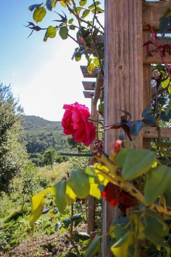 Villa Vista Mare 11 Favone Villa Vista Mare 11 Favone