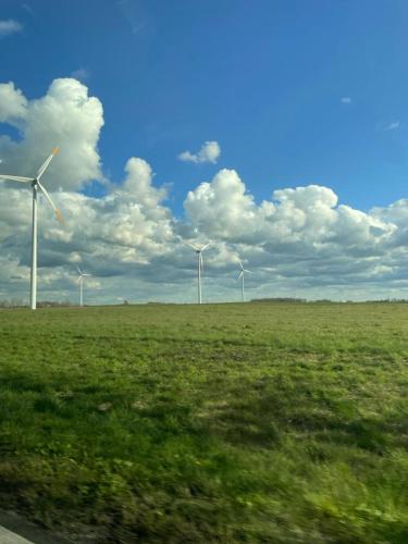 U Adama i Ewy U Adama i Ewy