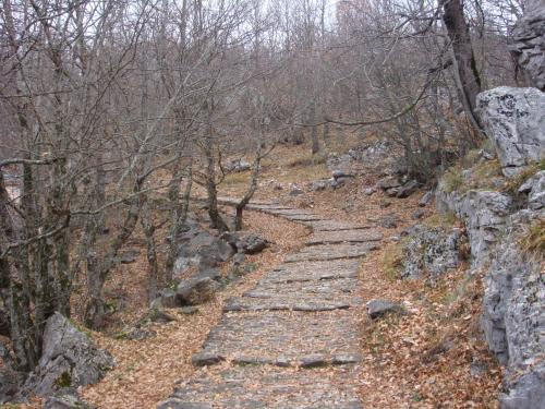 Vikos Hotel