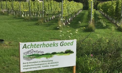  Achterhoeks Goed, Minicamping in Lichtenvoorde-Vragender in Vragender