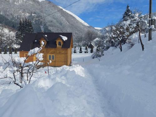 Dušan_guest_house (Dusan_guest_house) in สเมลากิชาโปลเย