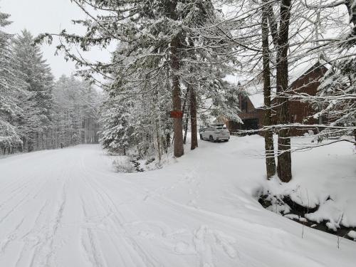Ski in/out Spruce Glen Townhomes on Great Eastern Trail in Killington, USA