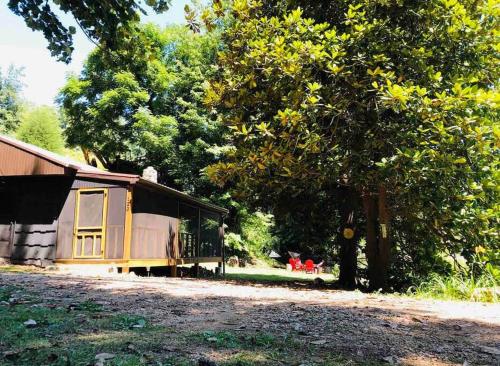 Cabin at the cove at Watauga Lake - Butler