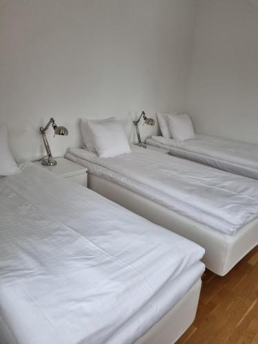 3 twin beds