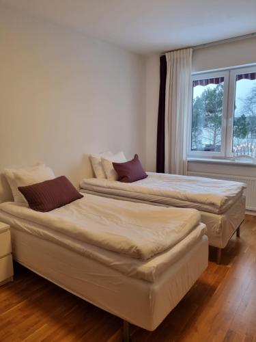1 twin bed