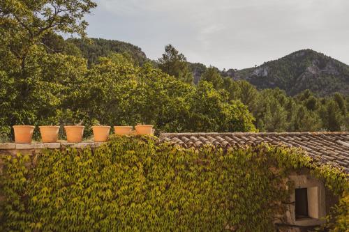 Son Boronat - image 7