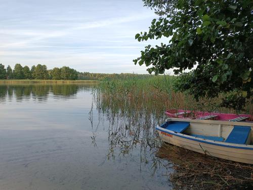 Rykowisko - domki całoroczne nad jeziorem i rzeką