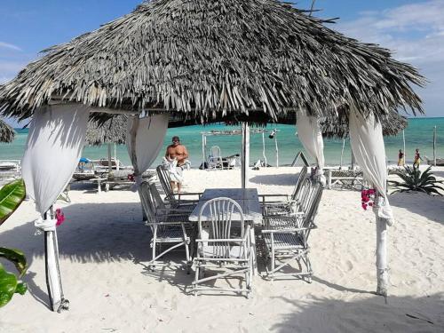 Luxury Simba House in Watamu [ ☆☆☆☆☆ ] in Watamu