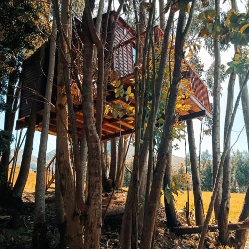 Casa en el Árbol Guatavita