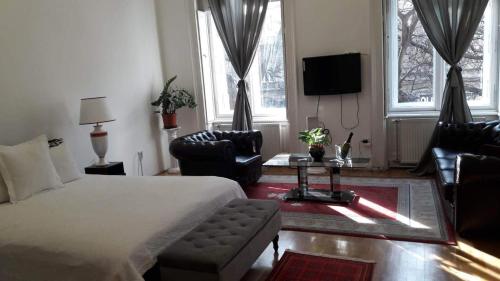 Deluxe Apartment image 8