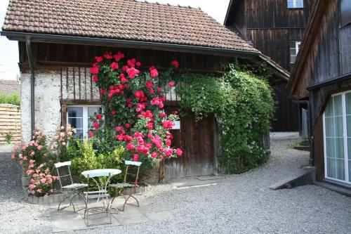  Idyllisches Wöschhüsli, Pension in Knonau bei Ottenbach