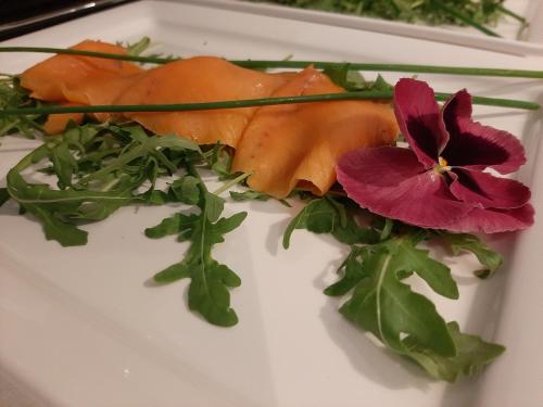 Pensjonat EDANA Pensjonat EDANA