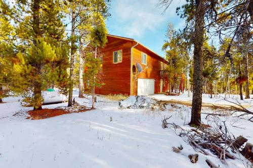 Lucky Bears Lair in Fairplay, USA