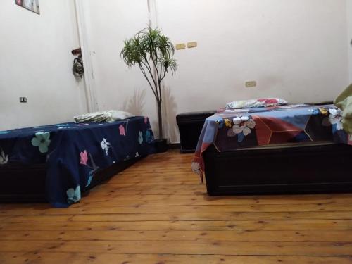 New Safari Hostel Room Type - Family Room