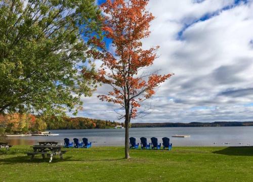 Muskoka Ski Chalet