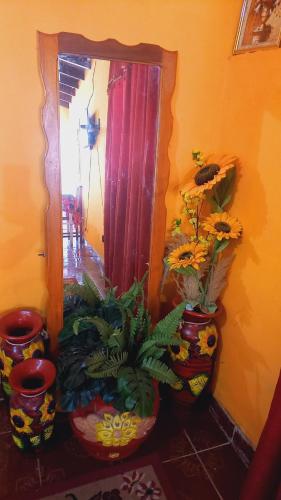 Hospedaje Luque