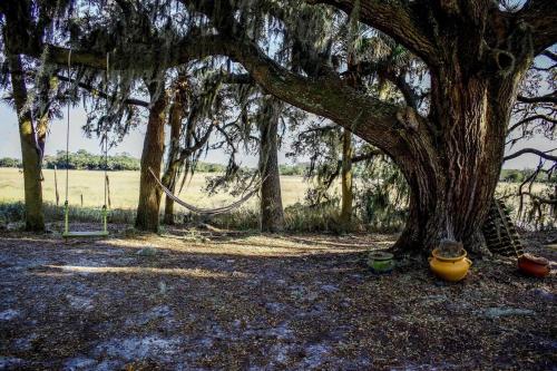 Secluded Tiny House by the Marsh with Hunting Island Beach Pass