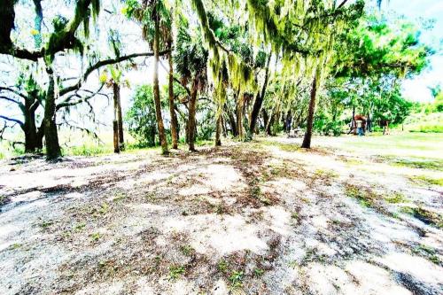 Secluded Tiny House by the Marsh with Hunting Island Beach Pass