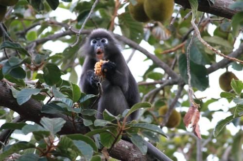 Vackra naturliga omgivningar