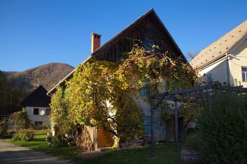 Vintage House Podliparska - Accommodation - Fara