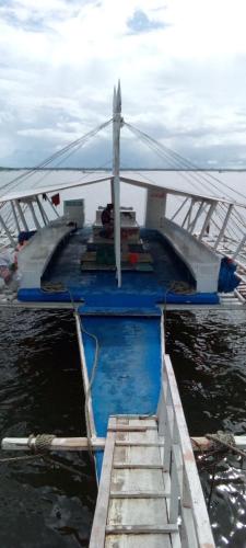 Surrounding environment, Jao bay boat charter in Olango Island