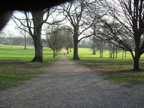 Weston Lawn - image 4