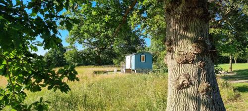 The Lookout Shepherd's Hut