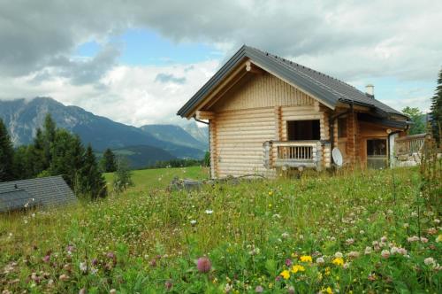 Deinparadies - image 4