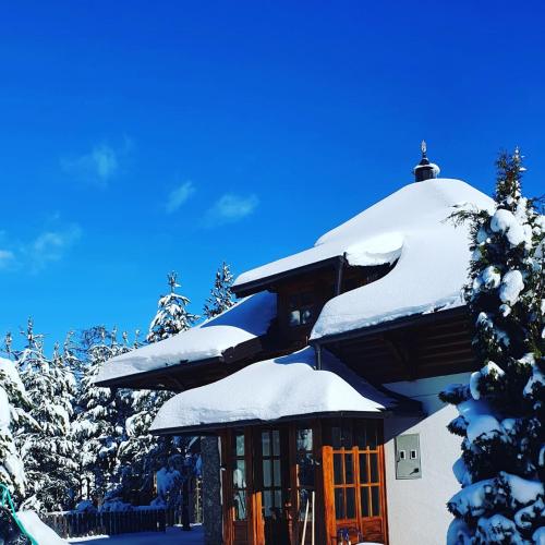 Vila Panić Zlatibor - image 10