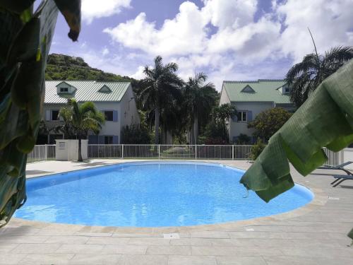 Garden and swimming pool 1mn walk to the beach Anse Marcel