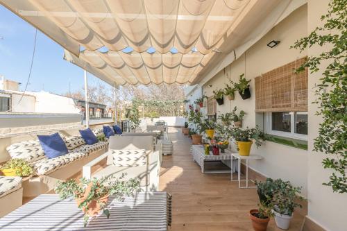 nüa alameda, Siviglia