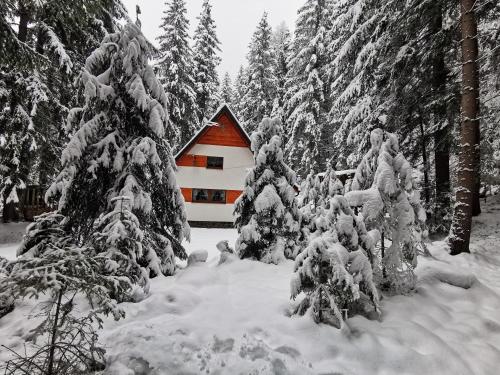 Chata Maco, Liptovský Mikuláš (foto 7)