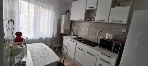 AKY Residence, Slănic-Moldova (foto 10)