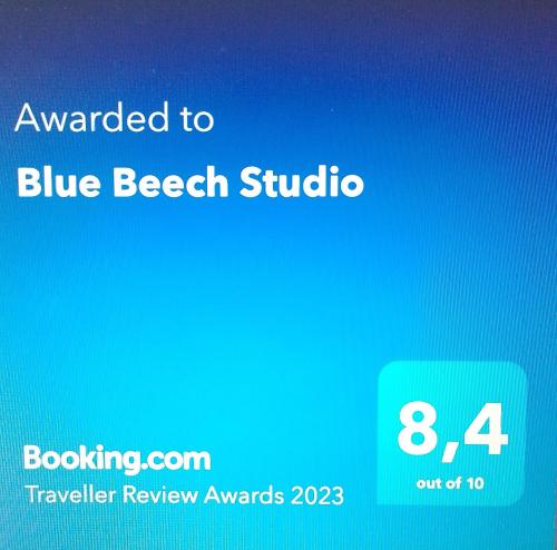  Studio Blue Beech in Lunteren