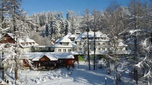 Aries Hotel & SPA Wisla, Wodzislaw