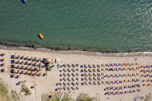  Tigaki Mall Hostel in Tigaki