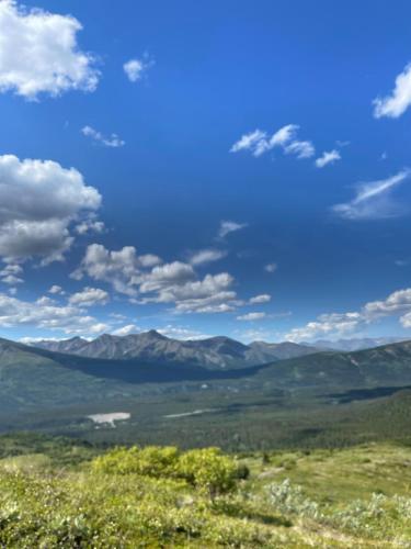 Carlo Creek Cabins