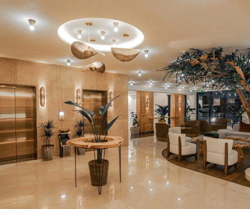 로비, Bratus Hotel in 아카바