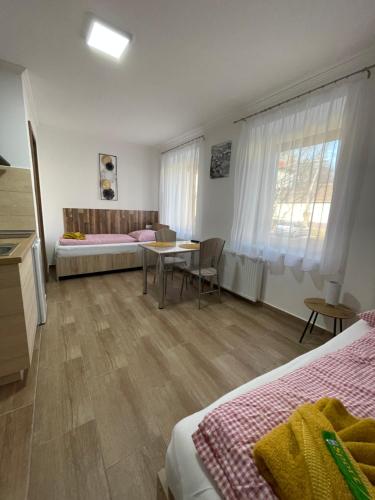 Dóra Vendégház (Dora Vendeghaz) in Csongrád