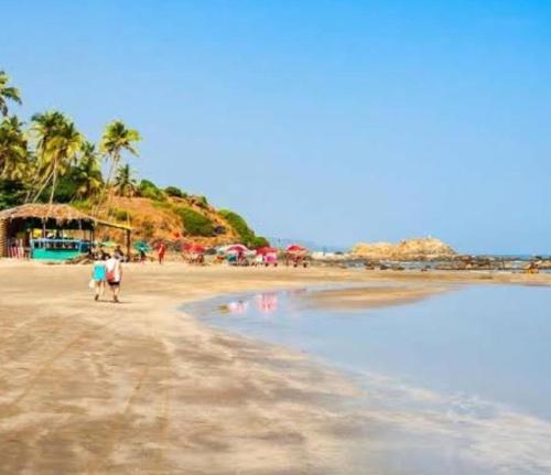 'Golden Sea Shell' 1 bhk Beach apartment photo