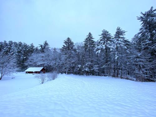 Cranmore Mountain Lodge Bed & Breakfast