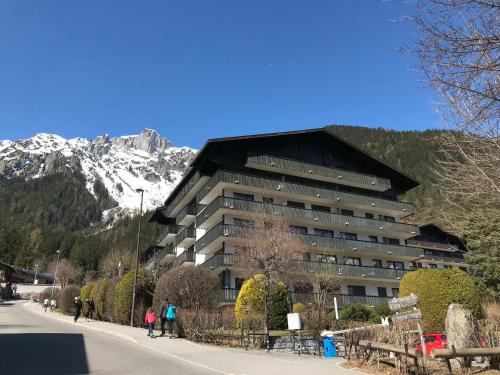 Appartement Chamonix-Mont-Blanc 2 pièces 4 personnes - FR-1-507-26 - image 7