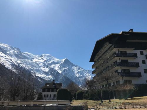 Appartement Chamonix-Mont-Blanc 2 pièces 4 personnes - FR-1-507-26 - image 6