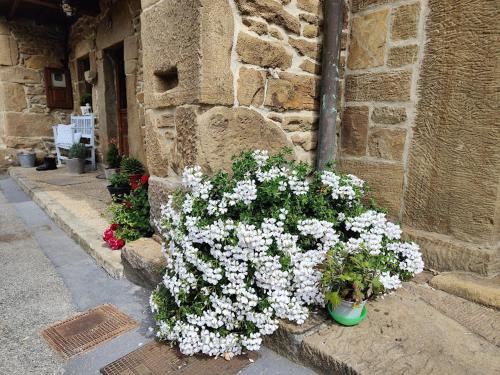  Casa Laudina y Armando in Brañella