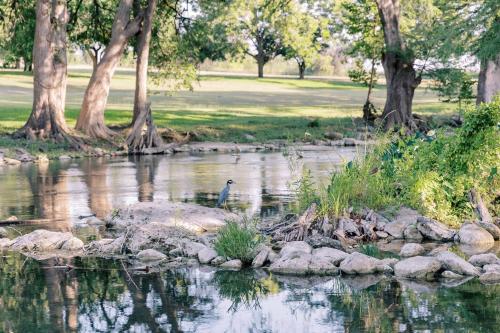 Unit 112 - The Lyndon 1 Bed - Cation on the Guadalupe in New Braunfels, USA